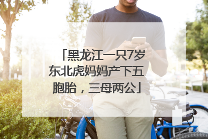 黑龙江一只7岁东北虎妈妈产下五胞胎，三母两公